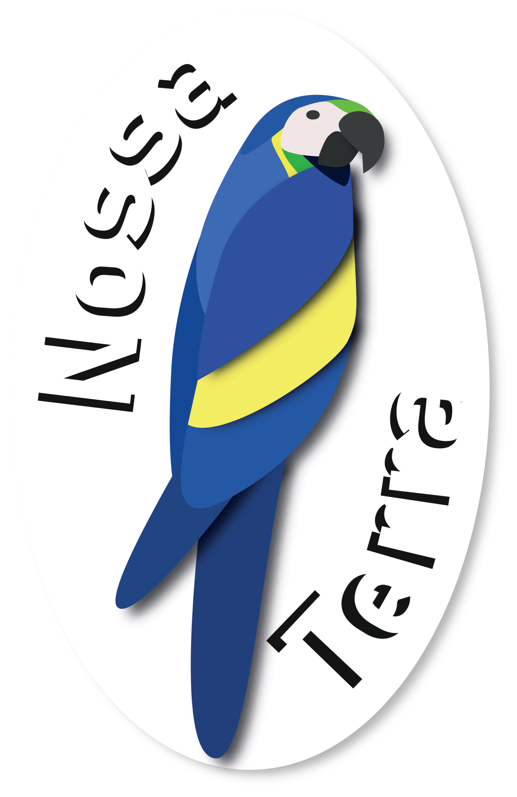 Logo NT (1)